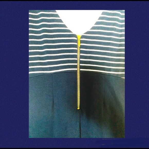 Dalia Collection Navy and White Striped Sheath Dress with Gold Zipper - Picture 3 of 3